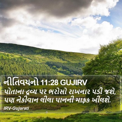 નીતિવચનો 11:28 GUJIRV Bible Verse Image