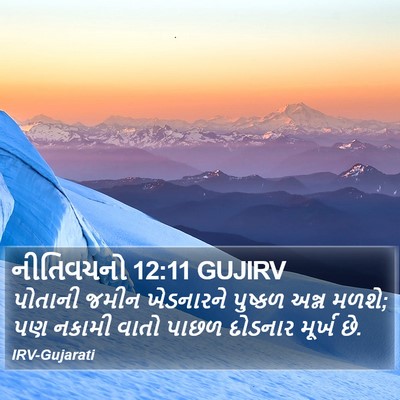 નીતિવચનો 12:11 GUJIRV Bible Verse Image