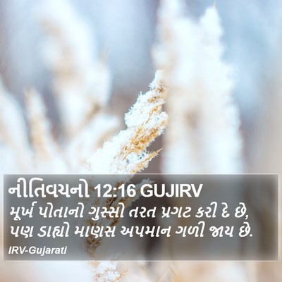 નીતિવચનો 12:16 GUJIRV Bible Verse Image