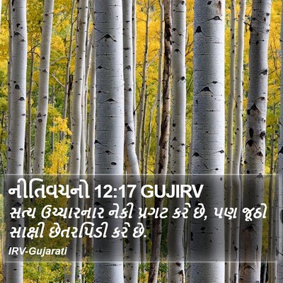 નીતિવચનો 12:17 GUJIRV Bible Verse Image