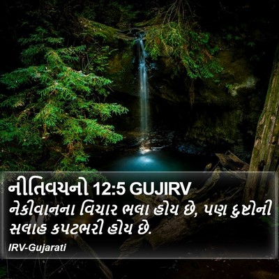 નીતિવચનો 12:5 GUJIRV Bible Verse Image