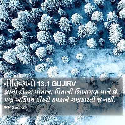 નીતિવચનો 13:1 GUJIRV Bible Verse Image