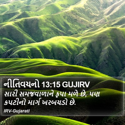 નીતિવચનો 13:15 GUJIRV Bible Verse Image