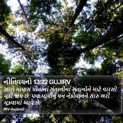 નીતિવચનો 13:22 GUJIRV Bible Verse Image