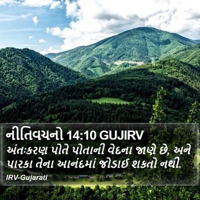 નીતિવચનો 14:10 GUJIRV Bible Verse Image