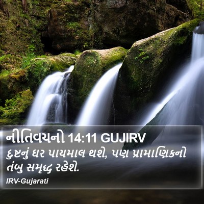 નીતિવચનો 14:11 GUJIRV Bible Verse Image