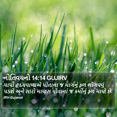નીતિવચનો 14:14 GUJIRV Bible Verse Image