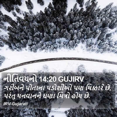 નીતિવચનો 14:20 GUJIRV Bible Verse Image
