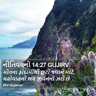 નીતિવચનો 14:27 GUJIRV Bible Verse Image