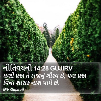 નીતિવચનો 14:28 GUJIRV Bible Verse Image
