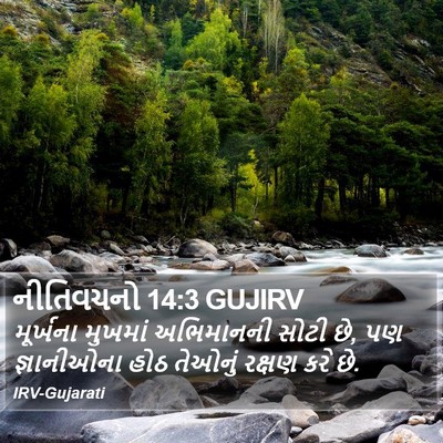 નીતિવચનો 14:3 GUJIRV Bible Verse Image