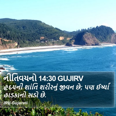 નીતિવચનો 14:30 GUJIRV Bible Verse Image