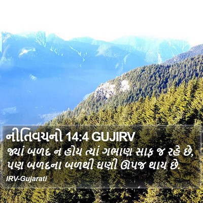 નીતિવચનો 14:4 GUJIRV Bible Verse Image