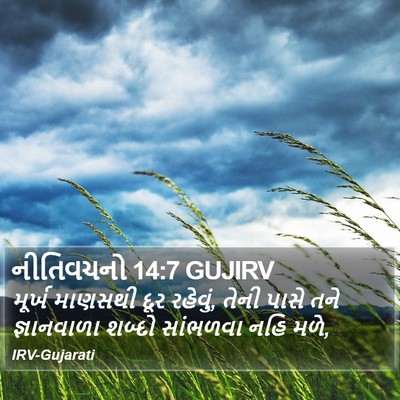 નીતિવચનો 14:7 GUJIRV Bible Verse Image
