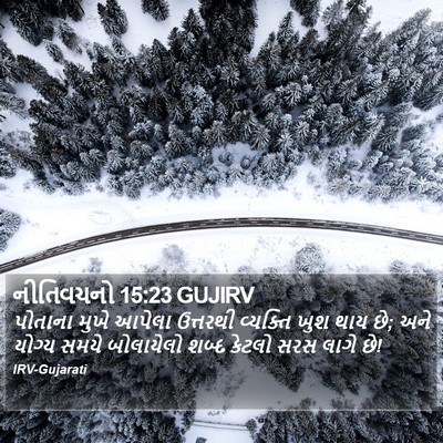 નીતિવચનો 15:23 GUJIRV Bible Verse Image