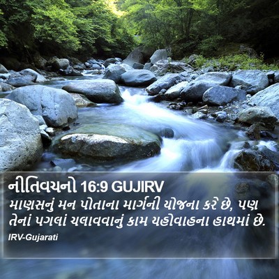 નીતિવચનો 16:9 GUJIRV Bible Verse Image