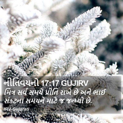 નીતિવચનો 17:17 GUJIRV Bible Verse Image