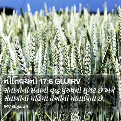 નીતિવચનો 17:6 GUJIRV Bible Verse Image