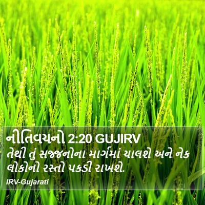 નીતિવચનો 2:20 GUJIRV Bible Verse Image