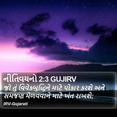 નીતિવચનો 2:3 GUJIRV Bible Verse Image