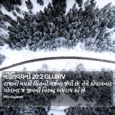 નીતિવચનો 20:2 GUJIRV Bible Verse Image