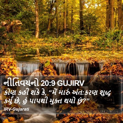 નીતિવચનો 20:9 GUJIRV Bible Verse Image