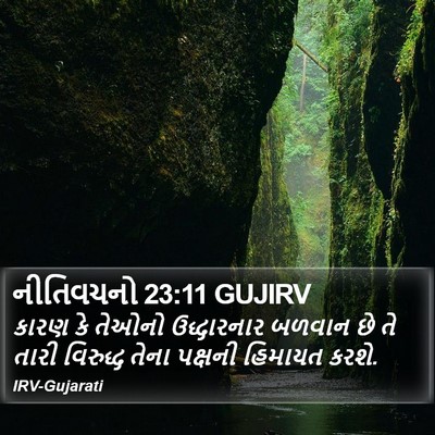 નીતિવચનો 23:11 GUJIRV Bible Verse Image