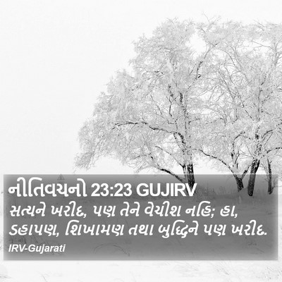 નીતિવચનો 23:23 GUJIRV Bible Verse Image