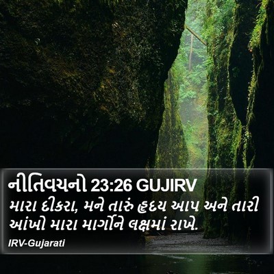 નીતિવચનો 23:26 GUJIRV Bible Verse Image