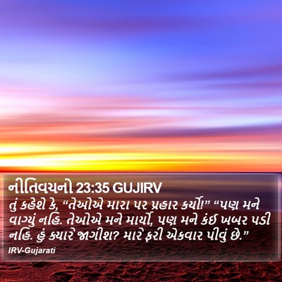નીતિવચનો 23:35 GUJIRV Bible Verse Image