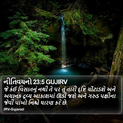 નીતિવચનો 23:5 GUJIRV Bible Verse Image
