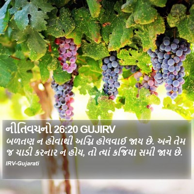 નીતિવચનો 26:20 GUJIRV Bible Verse Image