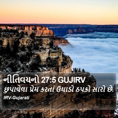 નીતિવચનો 27:5 GUJIRV Bible Verse Image