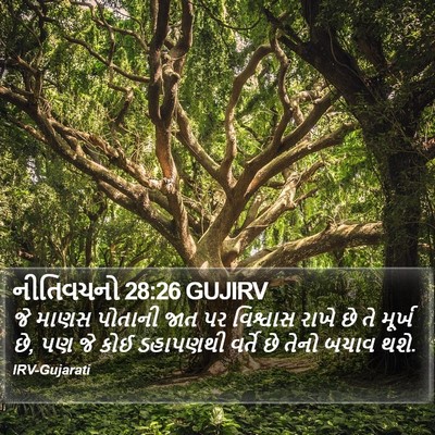 નીતિવચનો 28:26 GUJIRV Bible Verse Image