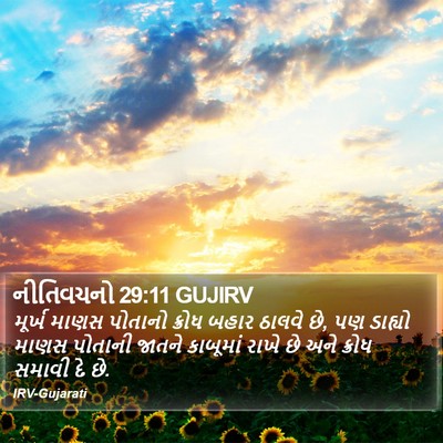 નીતિવચનો 29:11 GUJIRV Bible Verse Image