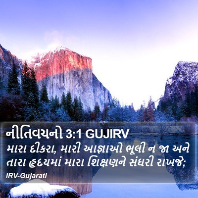 નીતિવચનો 3:1 GUJIRV Bible Verse Image