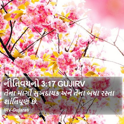 નીતિવચનો 3:17 GUJIRV Bible Verse Image