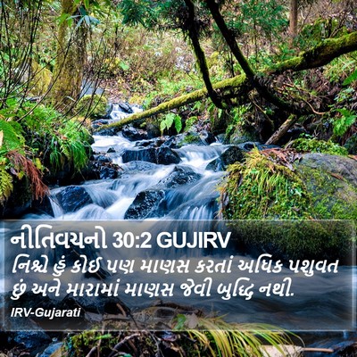 નીતિવચનો 30:2 GUJIRV Bible Verse Image
