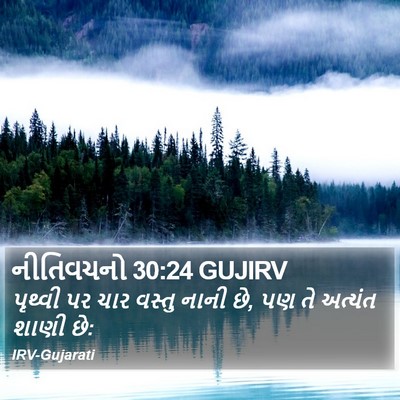 નીતિવચનો 30:24 GUJIRV Bible Verse Image