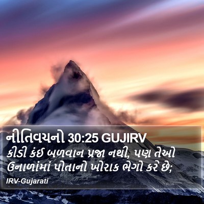 નીતિવચનો 30:25 GUJIRV Bible Verse Image