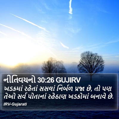 નીતિવચનો 30:26 GUJIRV Bible Verse Image