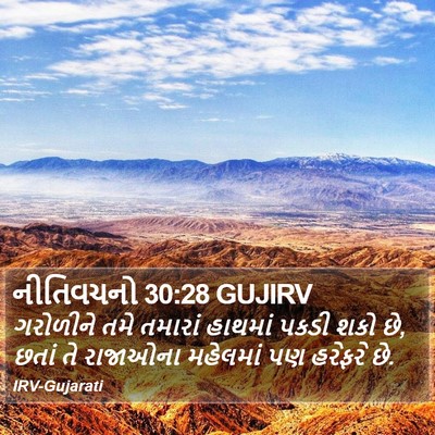 નીતિવચનો 30:28 GUJIRV Bible Verse Image