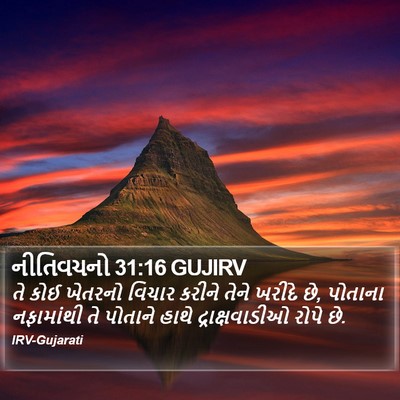 નીતિવચનો 31:16 GUJIRV Bible Verse Image