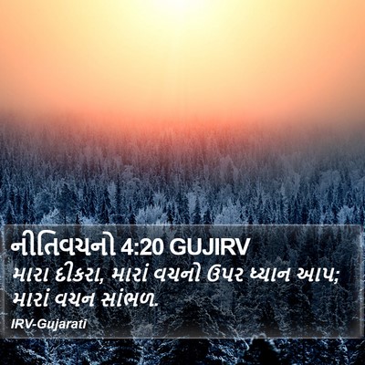 નીતિવચનો 4:20 GUJIRV Bible Verse Image
