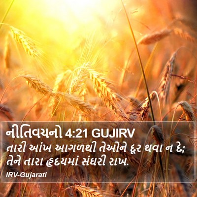 નીતિવચનો 4:21 GUJIRV Bible Verse Image