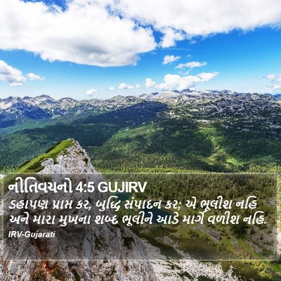 નીતિવચનો 4:5 GUJIRV Bible Verse Image