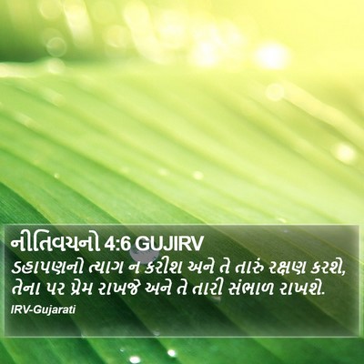 નીતિવચનો 4:6 GUJIRV Bible Verse Image