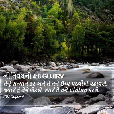 નીતિવચનો 4:8 GUJIRV Bible Verse Image