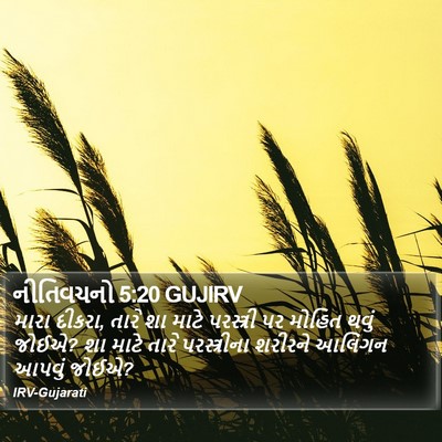 નીતિવચનો 5:20 GUJIRV Bible Verse Image