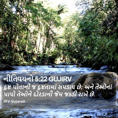 નીતિવચનો 5:22 GUJIRV Bible Verse Image